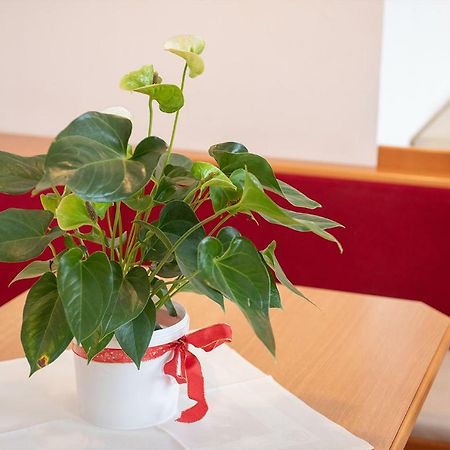 Dr. Aufmesser Appartements Obertauern Eksteriør bilde
